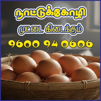 acharapakkam-dot-com-egg-ad-2026